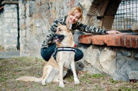 Les races utilisées contre le braconnage