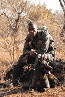 L’efficacité des chiens anti-braconnage