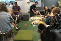 Des résultats positifs dans de nombreux pays