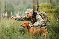 Les usages les courants du chien pour faciliter la vie de l’Homme