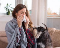 Une maitresse allergique à son chien