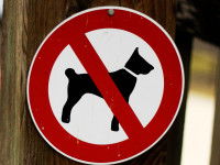 Panneau d'interdiction pour chien