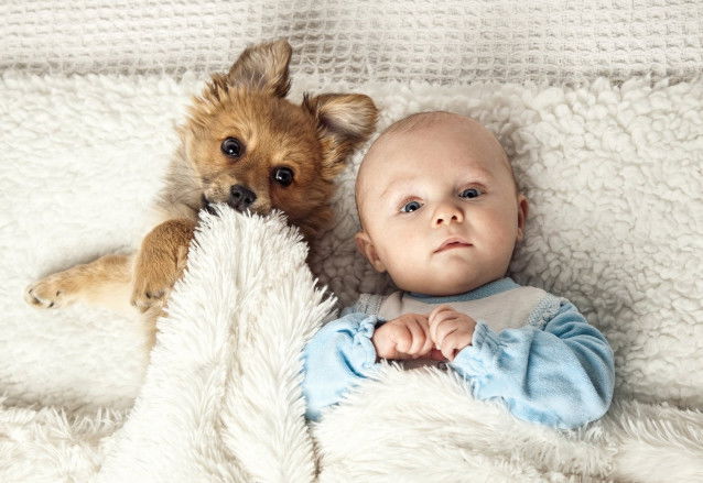 Un bébé et un petit chien sont allongés ensemble dans le lit