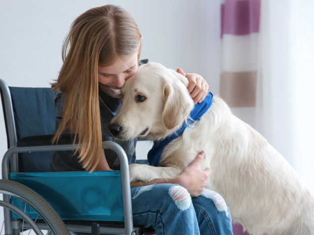 Une fille handicapée fait un câlin à un Labrador