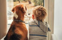 Remplacer les amis de l'enfant
