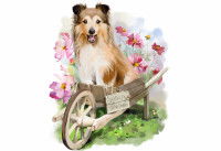 Un dessin d'un chien Colley dans une brouette
