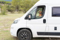 Un chien est assis dans un camping-car