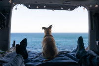 Un couple et un chien dans un camping-car en bord de mer