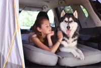 Une jeune fille et un Husky assis à l'arrière d'un camping-car