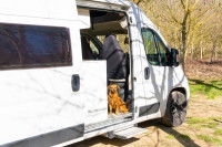 Un chien est assis à l'entrée d'un camping-car