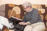 Un chien peut-il être heureux en appartement ?