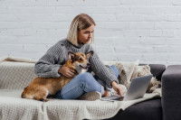 Un chien peut-il être heureux en appartement ?