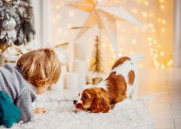 Un chien peut-il être heureux en appartement ?