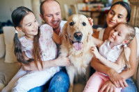 Un chien peut-il être heureux en appartement ?