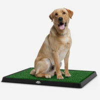 La propreté du chien vivant en appartement
