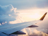 Les formalités avant de voyager en avion avec son chien