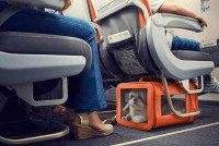 Un chien dans un sac de transport sous le siège d'un avion