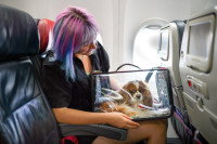 Une femme tenant sur ses genoux son chien installé dans un sac de transport