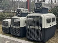 Des caisses de transport pour chien de différentes tailles exposées à la vente