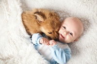 Un petit chien et un bébé ensemble dans un lit