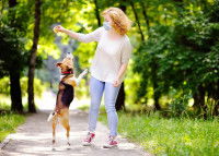 Promener son chien pendant le confinement