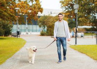 Un homme et son chien en promenade