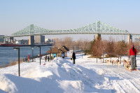 Une personne en train de faire du traîneau à chiens près du pont Jacques Cartier, à Montréal (Canada)