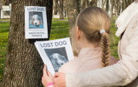 Une mère et sa fille collent une affiche de chien perdu sur un arbre