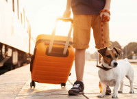 Une personne sur le quai d’une gare, tenant une valise ainsi que son chien en laisse