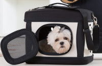 Un petit chien dont la tête dépasse d'un sac de transport
