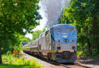 Un train Amtrak en train de rouler sur une voie entourée par des arbres