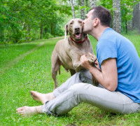 Un homme assis dans la pelouse embrasse son chien