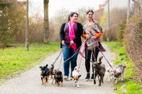 Deux femmes promenant cinq chiens
