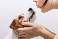 Une femme habitue son chien aux baisers