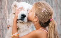 Une petite fille embrasse son chien