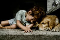 La relation entre le chien et l'enfant