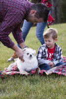 Le rôle du parent dans la relation chien/enfant