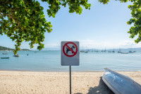 L’interdiction d’accès des chiens à certains lieux publics