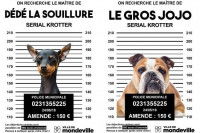 © Ville de Mondeville