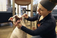 © Tom Reel/San Antonio Express-News