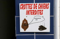 Les initiatives citoyennes innovantes ou farfelues
