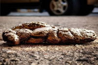 Une oeuvre de Jimmy Bréart