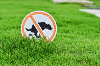 Les solutions incitatives et préventives contre les crottes de chien en ville