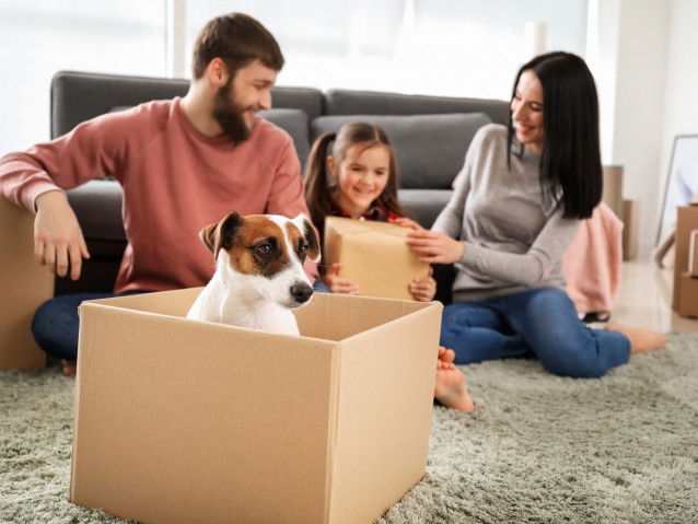 La préparation des cartons du déménagement