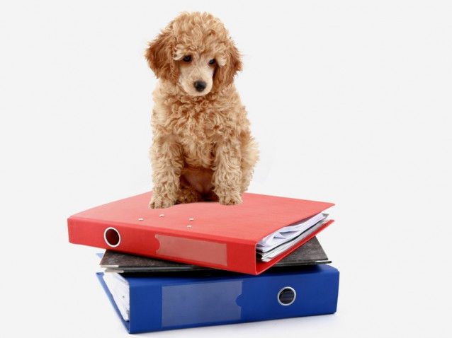 Les aspects administratifs après un déménagement