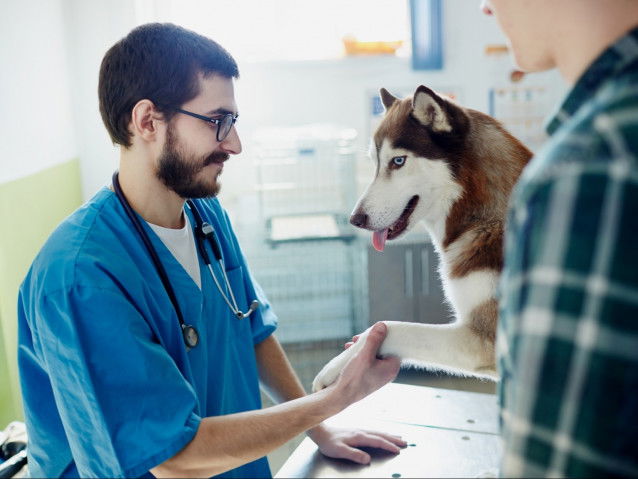 Le changement de vétérinaire