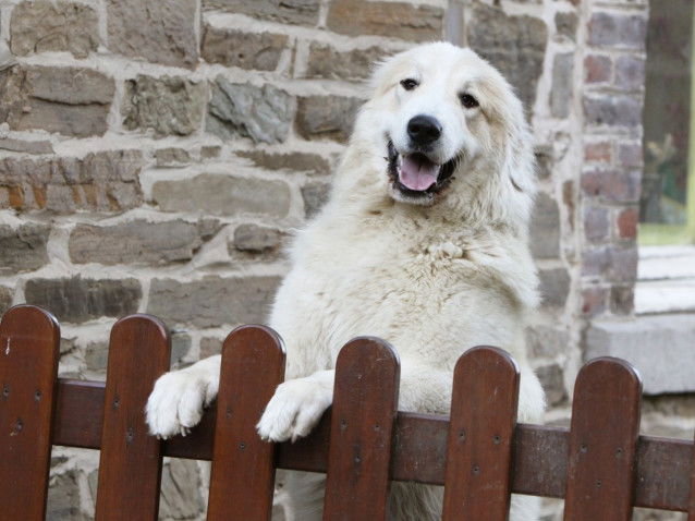 La sécurisation du nouveau logement