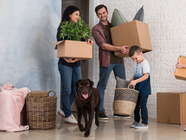 La découverte du nouveau logement