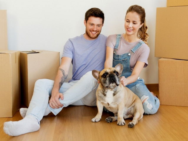 Le changement d'environnement lié au déménagement