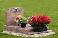 Une tombe pour chien dans un jardin avec des fleurs